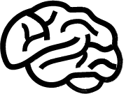 Gastartikel Liste Hirn