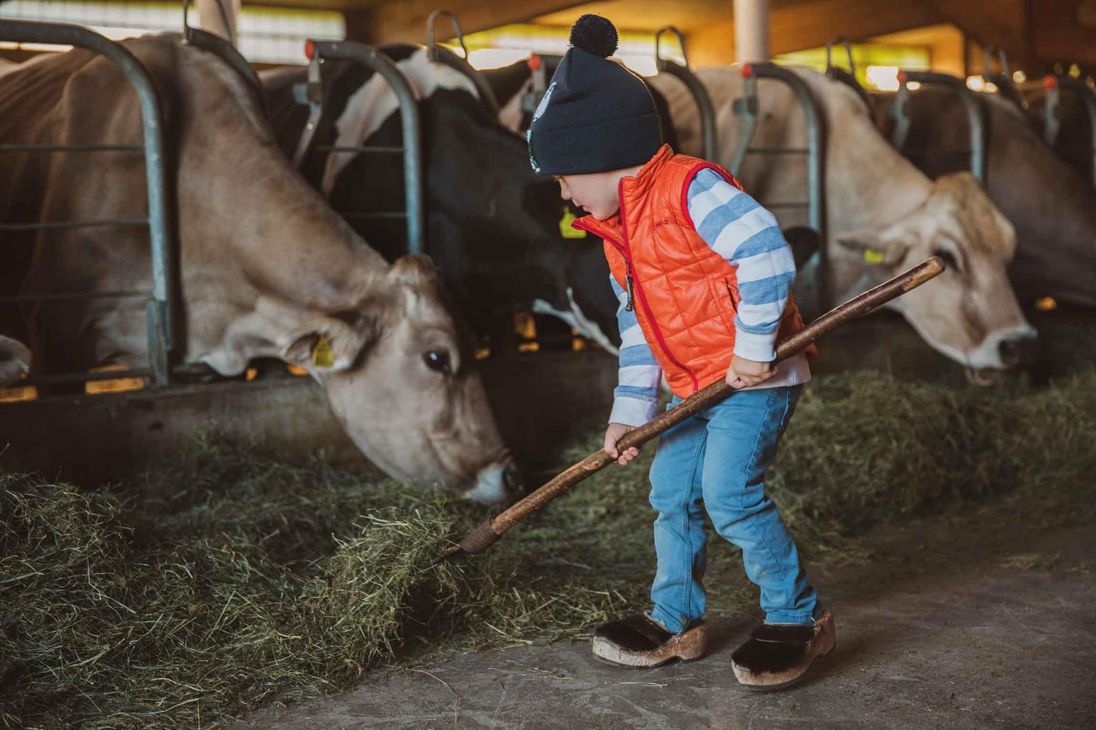 Urlaub am Bauernhof: Bub hilft bei der Stallarbeit